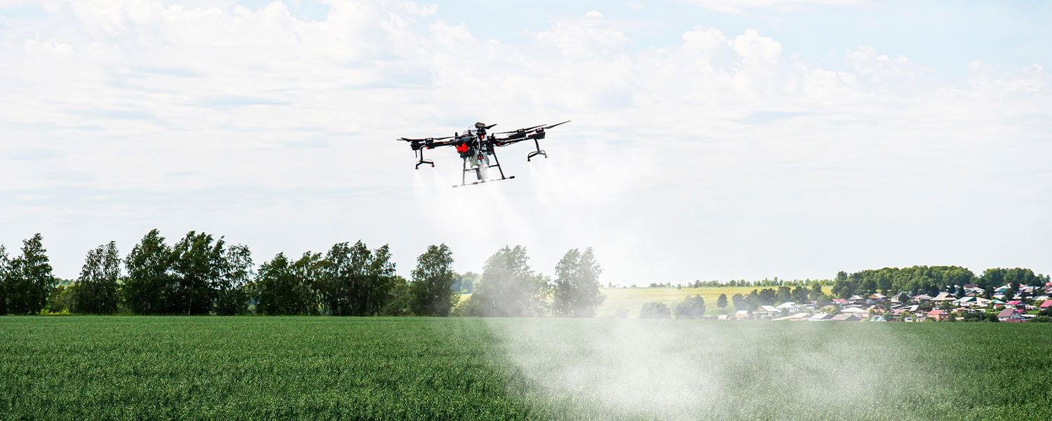 Dron sobrevolando un campo de naranjas en Carlet, España